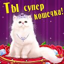 ���� ��������, ������ - ��������� 8 ����� 2016 � ������ �������� ��������