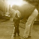 ���� �����, ���������, 59 ��� - ��������� 9 ������� 2015 � ������ ������ ��������