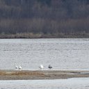 ���� ����, ����������, 57 ��� - ��������� 31 ������ 2016 � ������ ���������� 2015 -2018�