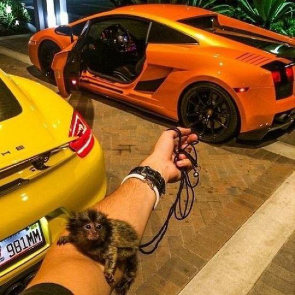 ������� ����...