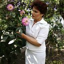 ���� ������, ����, 67 ��� - ��������� 12 ������ 2016 � ������ ���� ����������