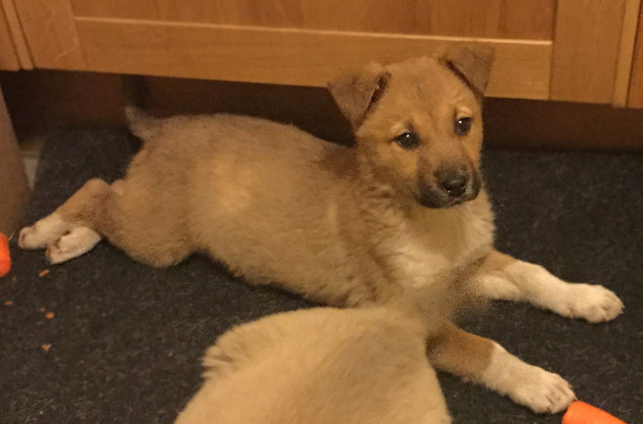         !   1-2 ,  ,   ... - 2