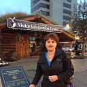 ���� �������, ������� - ��������� 4 ������� 2015 � ������ ���� ����������