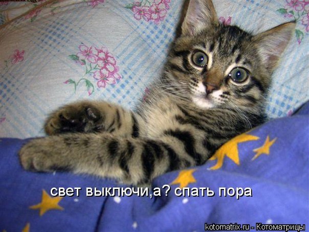 ������ - 27 ������� 2015 � 21:33
