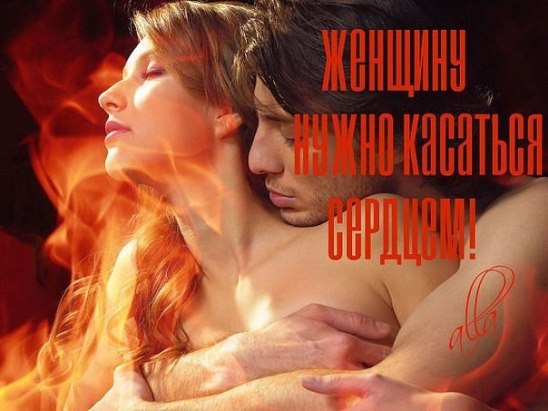 Ты меня закалил словно сталь, Я уроки такие ценю, Раньше дамы носили вуаль, Теперь носят на сердце ...