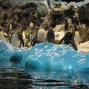 ���� �����, �����-���������, 59 ��� - ��������� 26 ������� 2015 � ������ ������ ��������