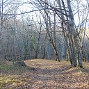 ���� �������, ������-��-���� - ��������� 25 ������ 2015 � ������ �����-����