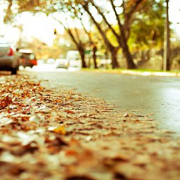 ������, ������, 65 ���