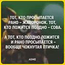 ���� �������, ���������, 54 ���� - ��������� 10 ������� 2015 � ������ ���� ����������