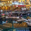 Edmonton Mall 2    