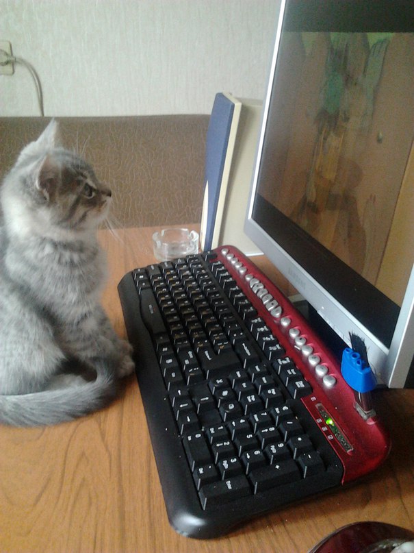    ,      -   ))) - 2