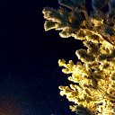 ���� �������, ������, 51 ��� - ��������� 7 ������ 2016 � ������ ���� ����������
