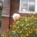 ���� ������, ����, 73 ���� - ��������� 11 ������� 2016 � ������ ���� ����������