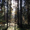 ���� ������, ��������, 55 ��� - ��������� 28 �������� 2015 � ������ ���� ����������