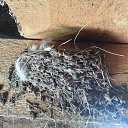 ���� ��������, ��������, 78 ��� - ��������� 8 ����� 2016