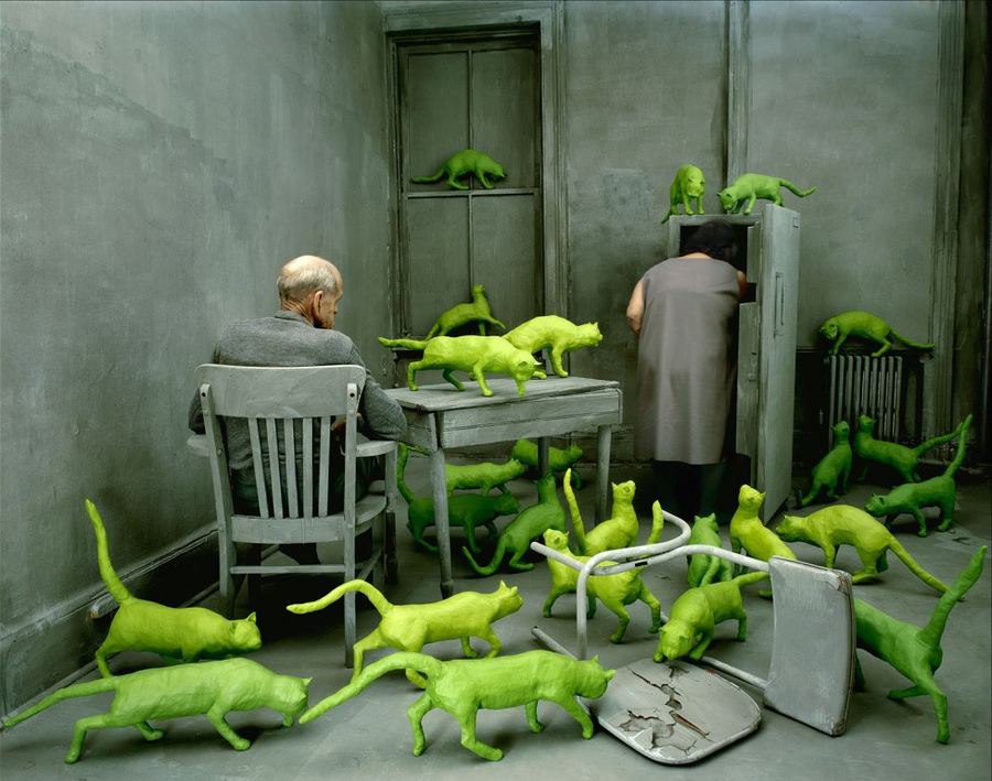   Sandy Skoglund   1946    ,  .  1973 ...