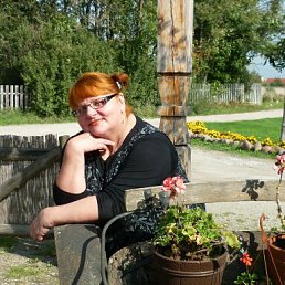 �����, ��������, 68 ���