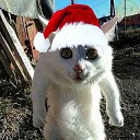 ���� ������, ������ - ��������� 28 ������� 2015 � ������ ������ ��������