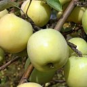 ���� Iluha, ���, 46 ��� - ��������� 2 ������� 2015