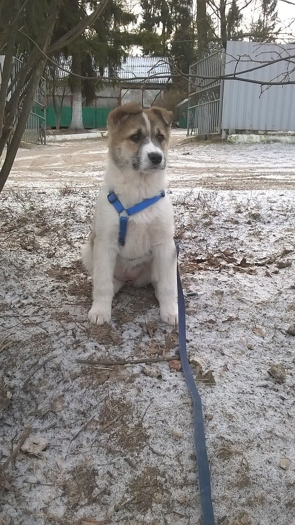 , ,   !!!          ... - 4