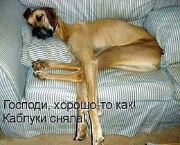   ,  ????? - 3