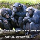 ���� ����, ��������, 55 ��� - ��������� 7 ������� 2016 � ������ ���� ����������