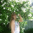 ���� ���������, ������, 29 ��� - ��������� 24 ������ 2015