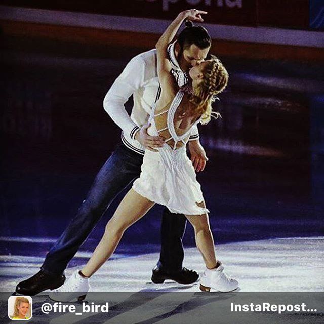   . .   ! @xam_trankov  @fire_bird #volosozhartrankov ...