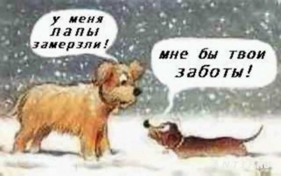   - 1  2015  11:26