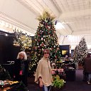 ���� ����, ��������������, 69 ��� - ��������� 24 ������ 2015