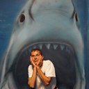 ���� ����, ������, 49 ��� - ��������� 12 ������� 2016 � ������ ���� ����������