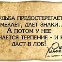  ,  -  7  2015    