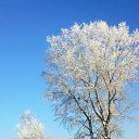 ���� ����, ����������� - ��������� 18 ������� 2016 � ������ ���� ����������