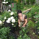 ���� ����, �����, 61 ��� - ��������� 2 ������� 2016 � ������ ���� ����������