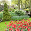 ���� *�����, ������, 49 ��� - ��������� 26 ������� 2015