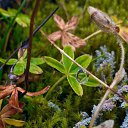 ���� �������, ����������� - ��������� 11 ������� 2015 � ������ ���� ����������