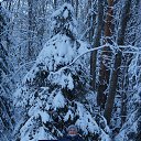 ���� ����, ������������, 55 ��� - ��������� 6 ������ 2016 � ������ ������ �������