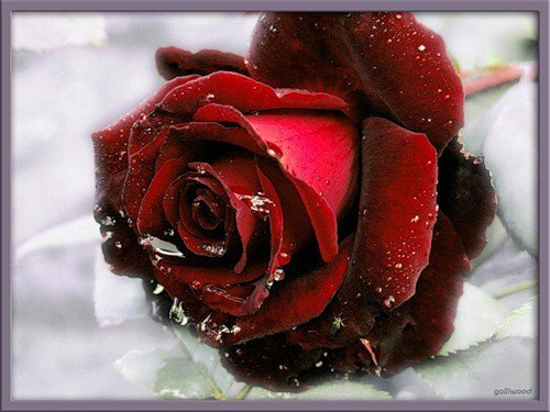 �������� - 27 ������� 2015 � 17:27