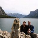  , -, 51  -  15  2016     ?