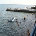 ���� ��������, �����-��������� - ��������� 28 ������ 2015 � ������ ���� ����������