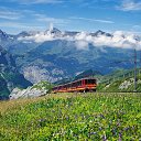 ���� Ilya1557, ������, 43 ���� - ��������� 6 ������� 2016 � ������ ���� ����������