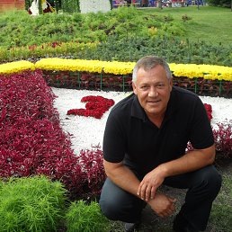 ���� �����, ���� - ��������� 30 �������� 2015