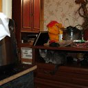 ���� ���������, ��������, 51 ��� - ��������� 27 ������ 2016 � ������ ���� ����������