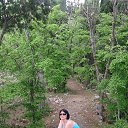 ����-2015 �� ������� ���� ����������