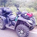 ���� ���������, ������, 40 ��� - ��������� 31 ������� 2015 � ������ ���� ����������