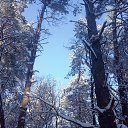 ���� ������, �����, 52 ���� - ��������� 26 ������ 2016 � ������ ���� ����������