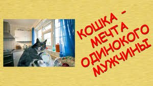 -Vip- ������ - 21 ������� 2016 � 16:37