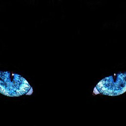 ������, ������, 39 ���