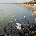 ���� Tomusya, ������ �����, 70 ��� - ��������� 25 �������� 2015 � ������ ���� ������� ����������