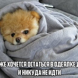 ��������, ������, 62 ����